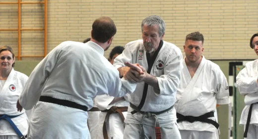 Jiu-Jitsu-Techniklehrgang 1 | Hebel- und Würgetechniken | DFJJ NRW e.V.